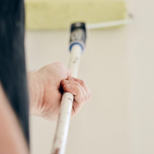 Imbiancatura e Tinteggiatura